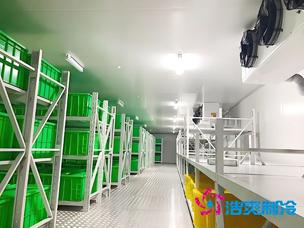  醫院試劑低溫冷庫建設標準與關鍵要點解析